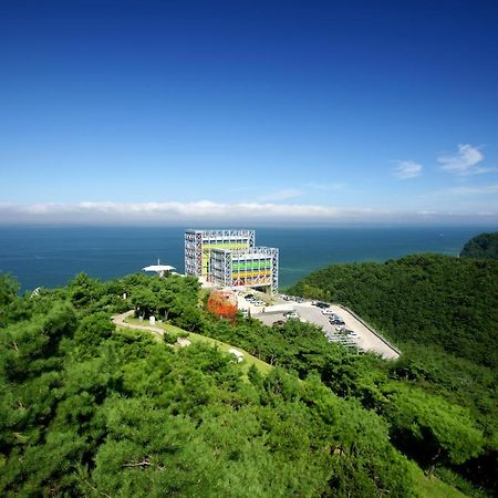 Haslla Art World Museum Hotel Gangneung Esterno foto